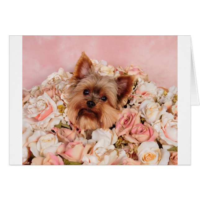 Flower pup (Front Horizontal)