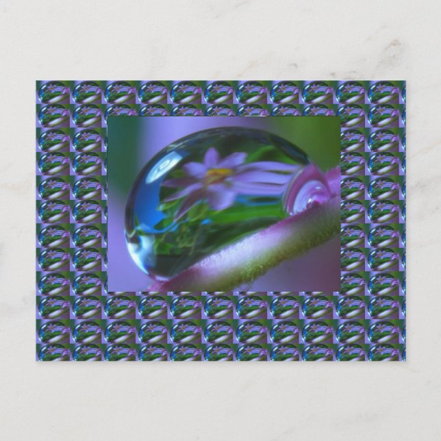 Flower REFLECTION on a DEW DROP .  lowprice GIFTS Postcard (Front)
