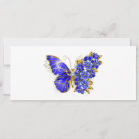 Flower Sapphire Butterfly