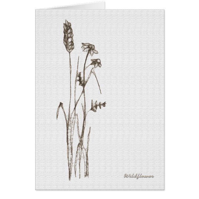 Flower sauvage (Devant)