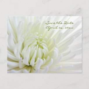 Flower Save the Date Wedding Postcard