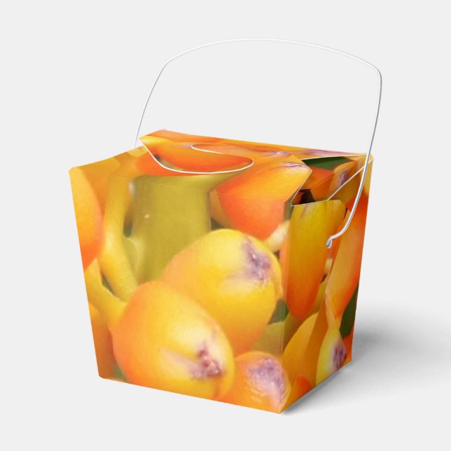 Flower Seeds Take Out Favour Box (Front Side)