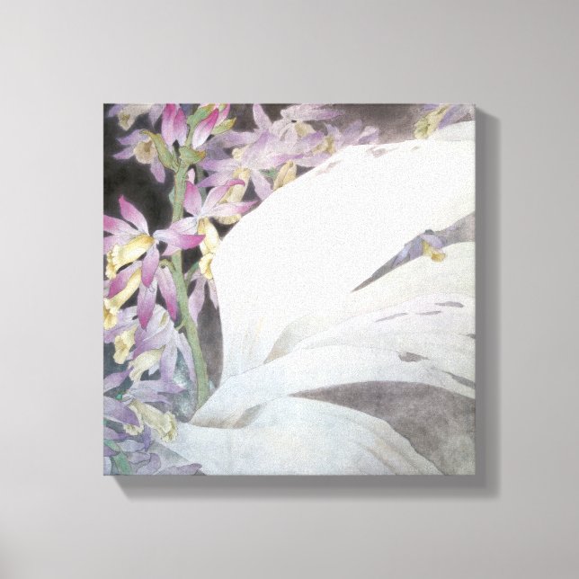 Flower Seires II- Phaiuses Canvas Print (Front)