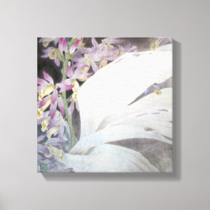 Flower Seires II- Phaiuses Canvas Print