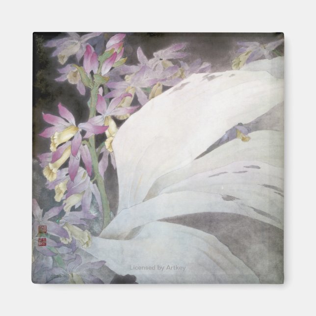 Flower Seires II- Phaiuses Magnet (Front)