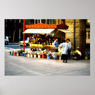 Flower seller, Santiago, Chile Poster