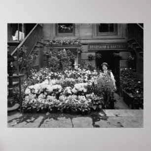 Flower Shop Poster