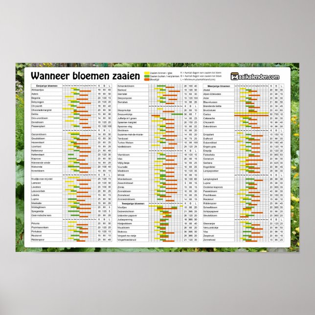 Flower Sowing Calendar Poster (Front)