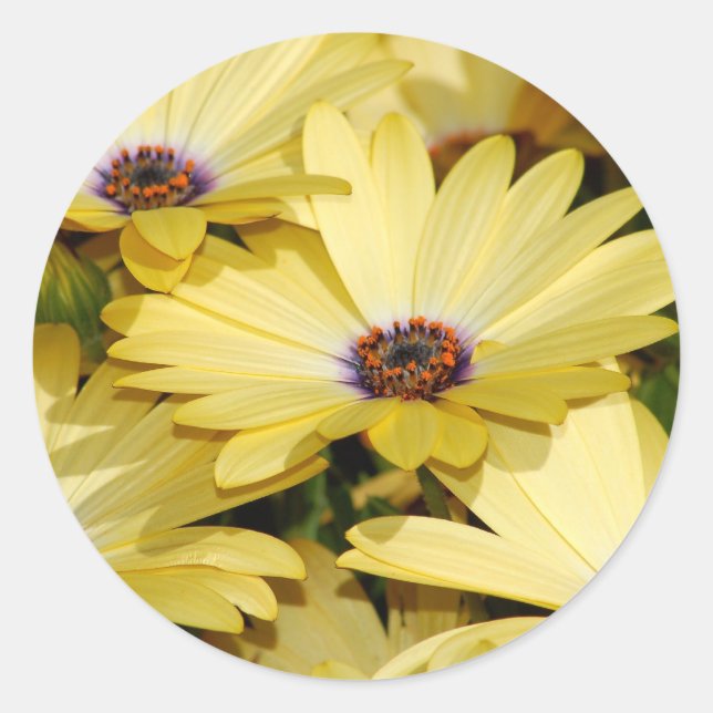 Flower Sticker (Front)