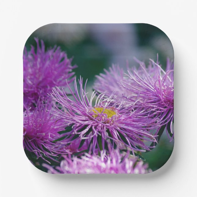 Flower Stories/Aster Flower Paper Plate (Front)