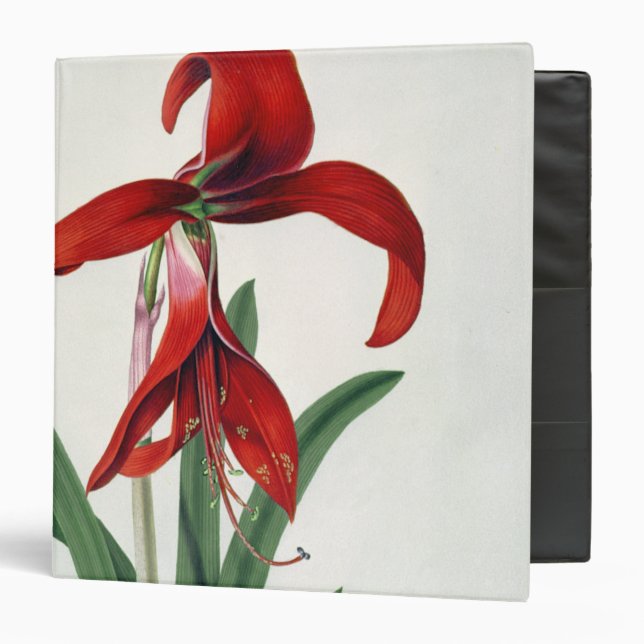 Flower Study, Binder (Front/Inside)