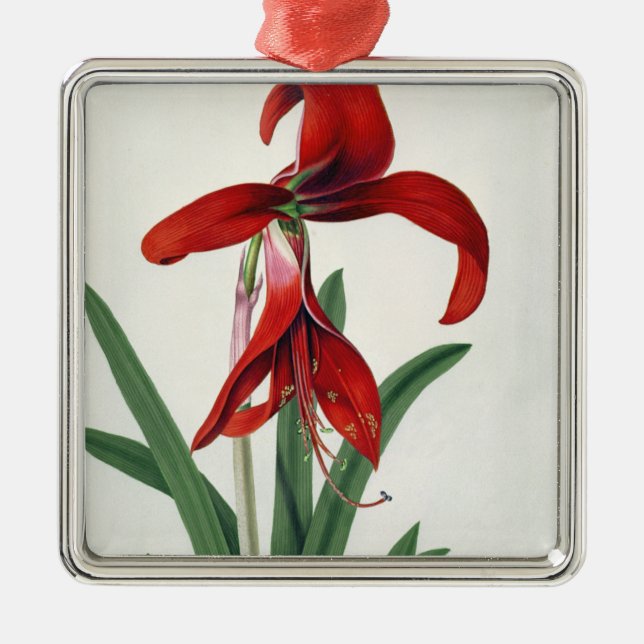 Flower Study, Metal Ornament (Front)