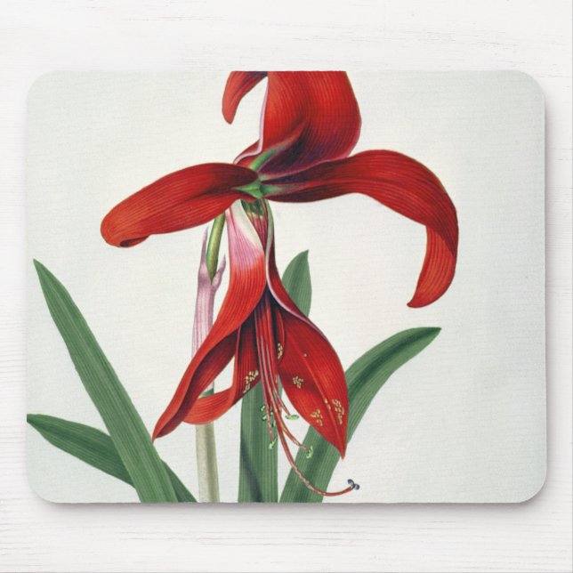 Flower Study, Mouse Pad (Front)