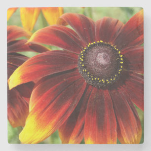 Flower Summer photo Marble Stone Coaster