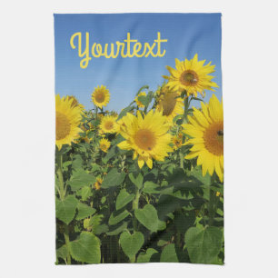 flower, sun, plant, nature, summer, floral, kitchen towel