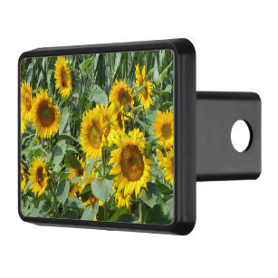 flower, sun, plant, nature, summer, floral, trailer hitch cover