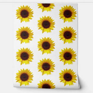Flower Sunflower Wallpaper