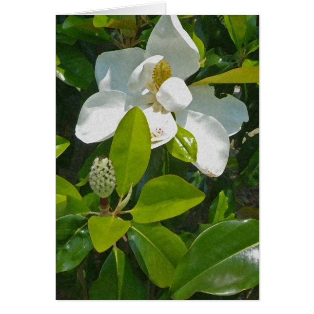 Flower to Fruit (Front)