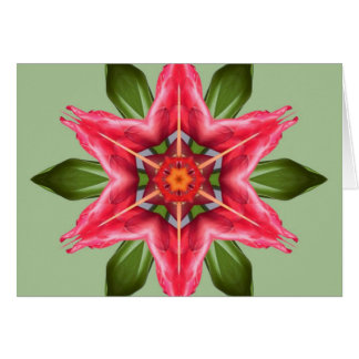 Flower tropical
