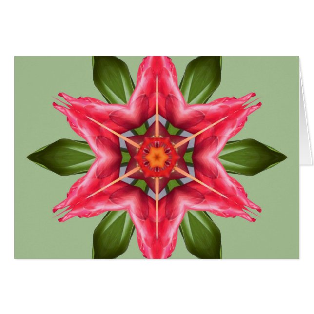 Flower tropical (Devant horizontal)
