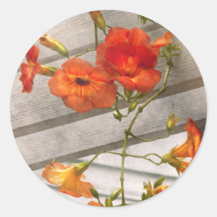 Flower - Trumpet melodies Classic Round Sticker