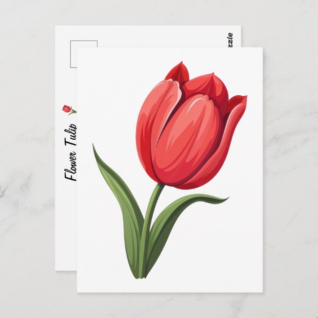 Flower Tulip Postcard (Front/Back)