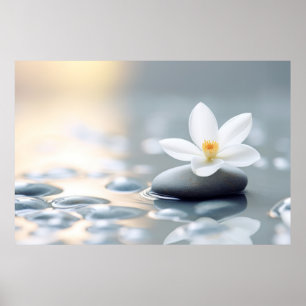 Flower Water Drop Nature Serene Tranquil Poster