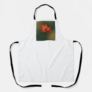 Flower with bee apron