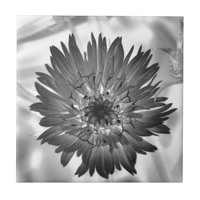flower xray tile (Front)