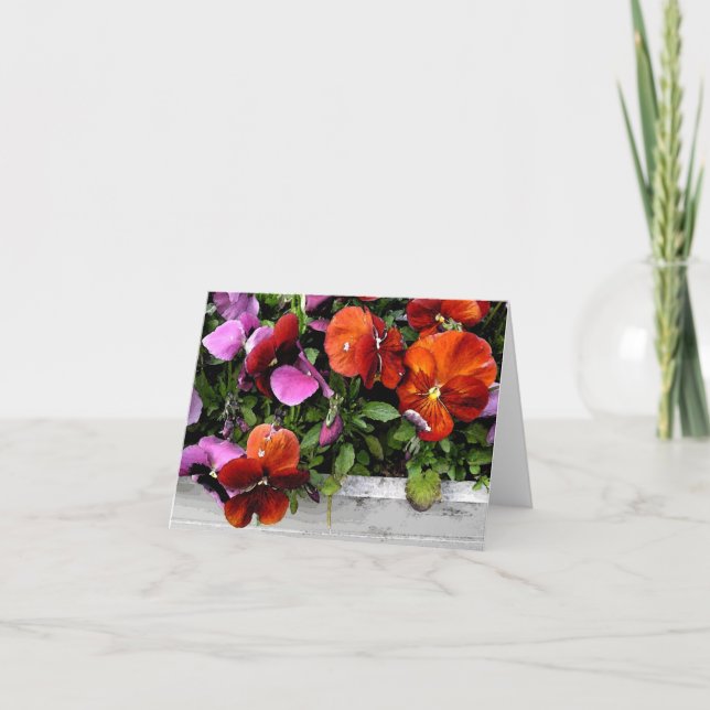 Flowerbox of Pansies Card (Front)