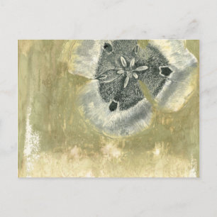 Flowerhead Abstract with Glazed Texture Postcard