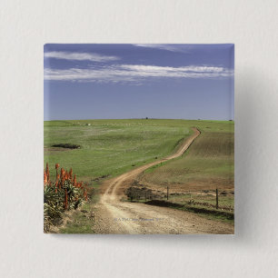Flowering aloes near Caledon, Western Cape 2 Inch Square Button