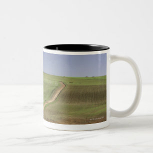Flowering aloes near Caledon, Western Cape Two-Tone Coffee Mug
