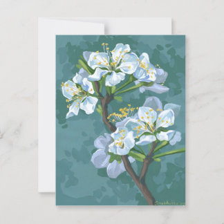 Flowering branch of the apple tree postcard