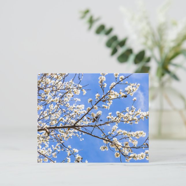 Flowering Branch Watercolor Print – Botanical Art (Standing Front)