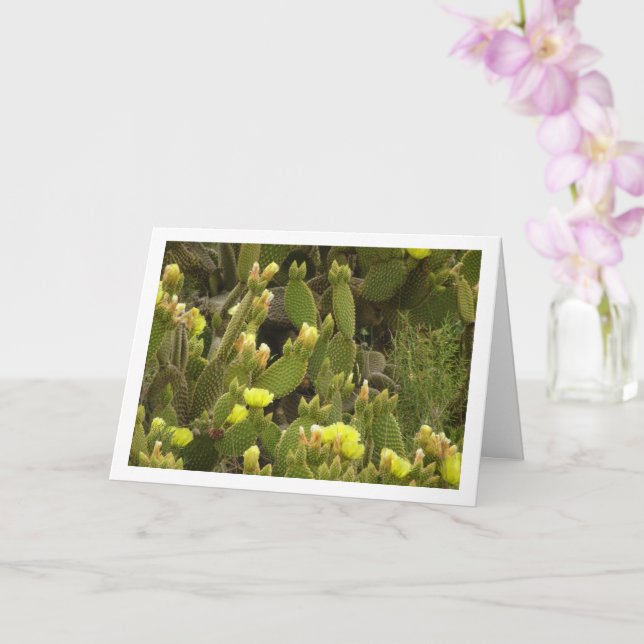 Flowering Bunny Ears Cactus, Opuntia Microdasys  Card (Orchid)