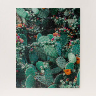 Flowering Cactus Plants Jigsaw Puzzle
