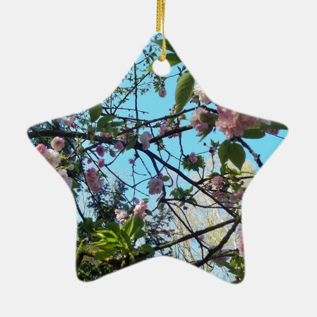 Flowering Cherry, Blossom, Nature, Pink Flower Ceramic Ornament (Back)