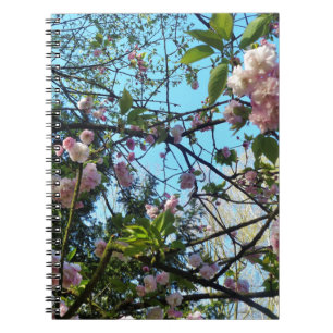 Flowering Cherry, Blossom, Nature, Pink Flower Notebook