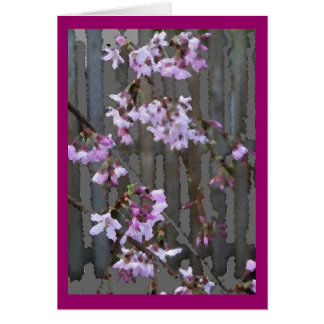 Flowering Cherry Blossoms card