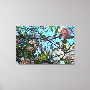Flowering Cherry, Nature, Tree, Blossom, Canvas Print
