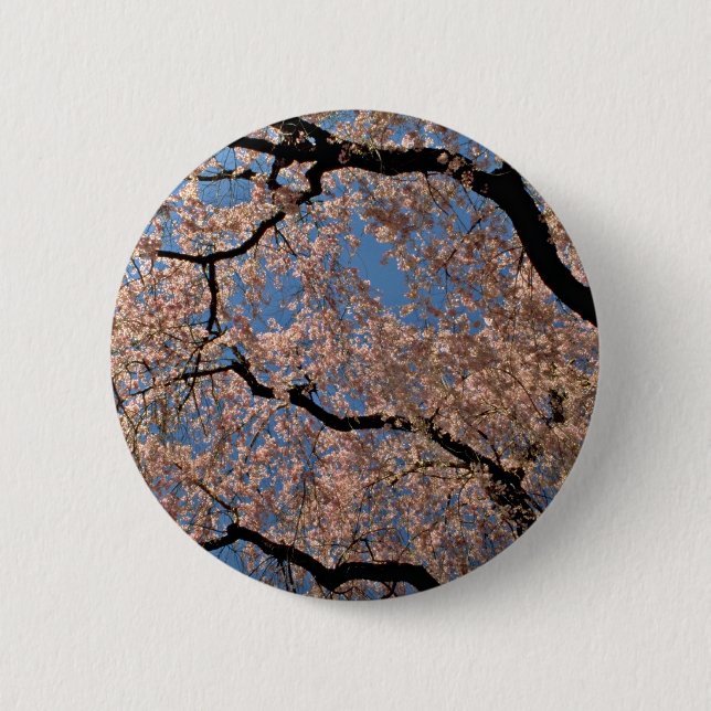 Flowering Cherry tree Pink flowers 2 Inch Round Button (Front)