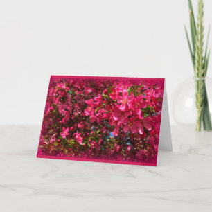 Flowering Crab Tree All Occasion Card