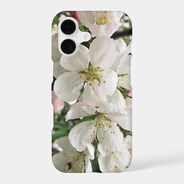Flowering Crabapple (Back)