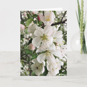 Flowering Crabapple Card