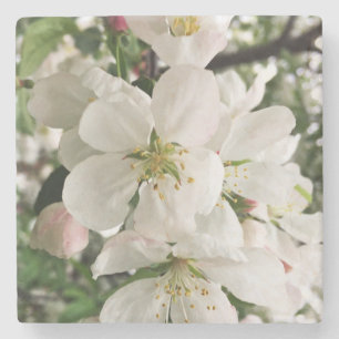 Flowering Crabapple Stone Coaster