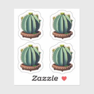 Flowering Fat Cactus with Colourful Blooms