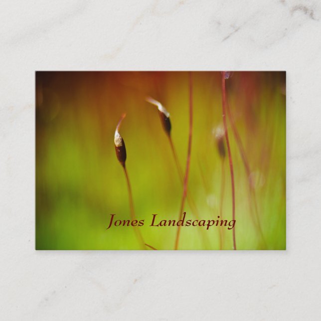 Flowering Moss Nature Business Cards (Front)