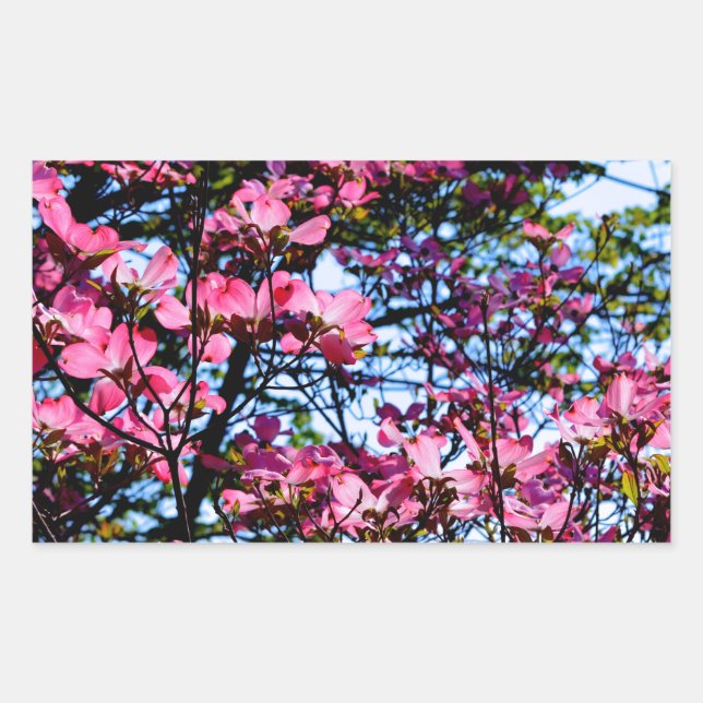 Flowering pink Dogwood tree Sticker (Front)
