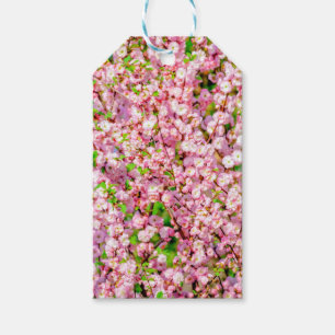 Flowering Plum Gift Tags